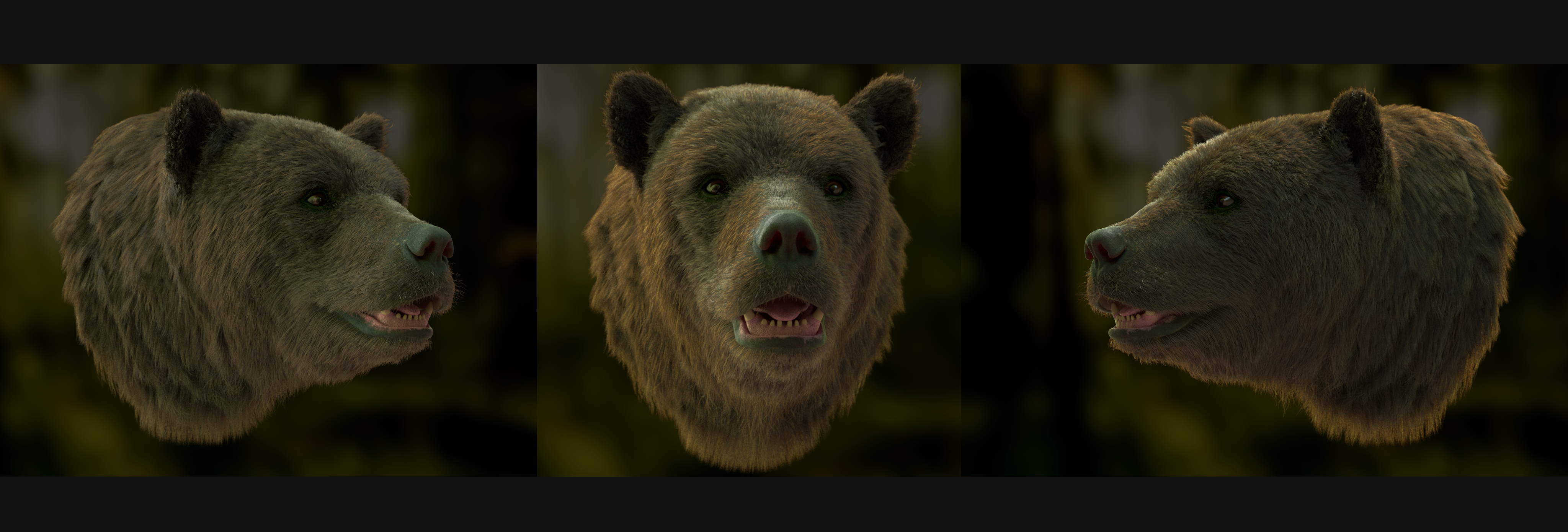 BearBanner
